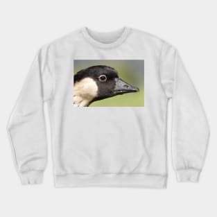 Nene head close-up on Maui, Hawaii Crewneck Sweatshirt